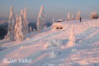 Foto Jan Vašut