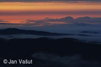Foto Jan Vašut