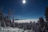 Foto Pavel Špurek