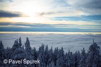 Foto Pavel Špurek