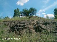 významný krajinný prvek ?Hončova hůrka? ? 336 m nadmořské výšky