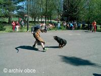 Kynologický klub Skotnice ukázky výcviku psů