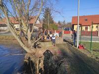 Časy
