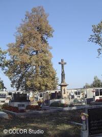 Hřbitov u kostela