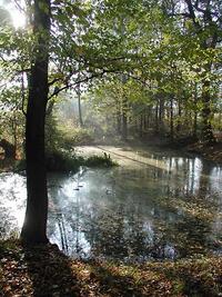 Tůně u Petřvaldíku, ChKO Poodří