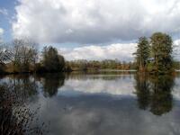 Rybníky u Jistebníka, ChKO Poodří