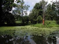 Slaňáky, ChKO Poodří