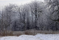 Stavba rozhledny na Velkém Lopeníku zahájena