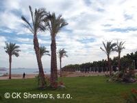 CK SHENKO´S