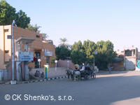 CK SHENKO´S