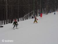 Lyžařský areál na Svinci u Nového Jičína