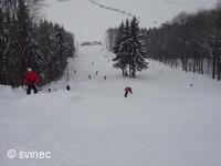 Lyžařský areál na Svinci u Nového Jičína