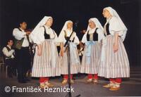 Folklorní soubor Odra