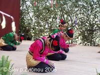 Mezinárodní folklorní festival Slavnosti pod Zvičinou