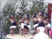 Mezinárodní folklorní festival Slavnosti pod Zvičinou