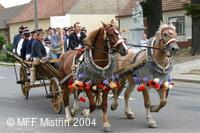 Mezinárodní folklorní festival Mistřín