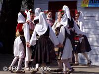 Adámkovy folklorní slavnosti