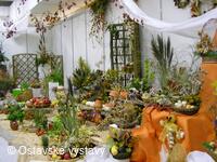 život na zahradě 2005