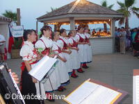 Folklorní soubor Dřeváček