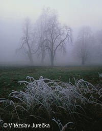 Hukvaldy 049