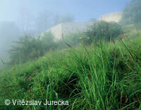 Hukvaldy 062