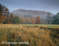 Hukvaldy 070