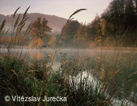 Hukvaldy 068