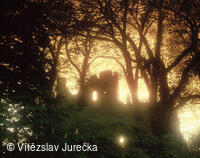 Hukvaldy 086