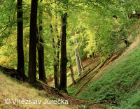 Hukvaldy 073