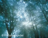 Hukvaldy 002