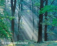 Hukvaldy 004