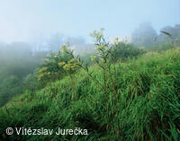 Hukvaldy 064
