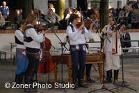 Folklorní sdružení Strážnicko-Veselsko-Horňácko