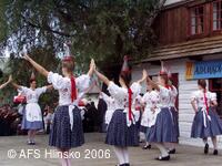 Adámkovy folklorní slavnosti