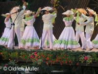 Mezinárodní folklorní festival Liptálské slavnosti