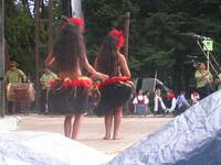 Mezinárodní folklorní festival Liptálské slavnosti