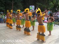 Mezinárodní folklorní festival Liptálské slavnosti