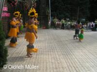 Mezinárodní folklorní festival Liptálské slavnosti