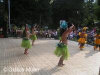 Mezinárodní folklorní festival Liptálské slavnosti