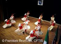 Mezinárodní folklorní festival Folklor bez hranic