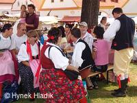 Libín - S, folklorní sdružení