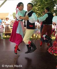 Libín - S, folklorní sdružení