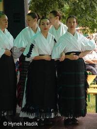 Libín - S, folklorní sdružení