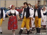 Libín - S, folklorní sdružení