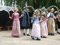 Jihočeský folklorní festival