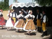 Jihočeský folklorní festival