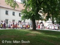 Jihočeský folklorní festival