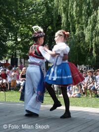 Jihočeský folklorní festival