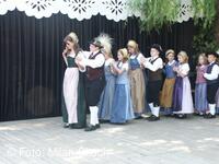 Jihočeské folklorní sdružení