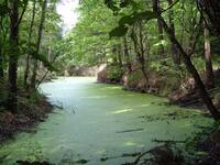 vodní nádrž BÍLOV-HUBLESKA